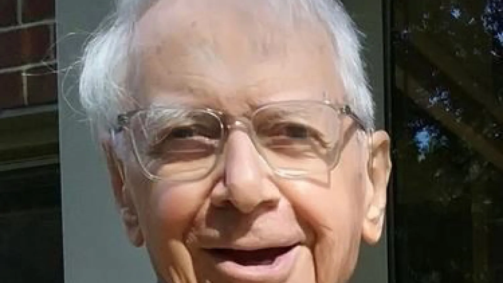 Professor Francis Newton
